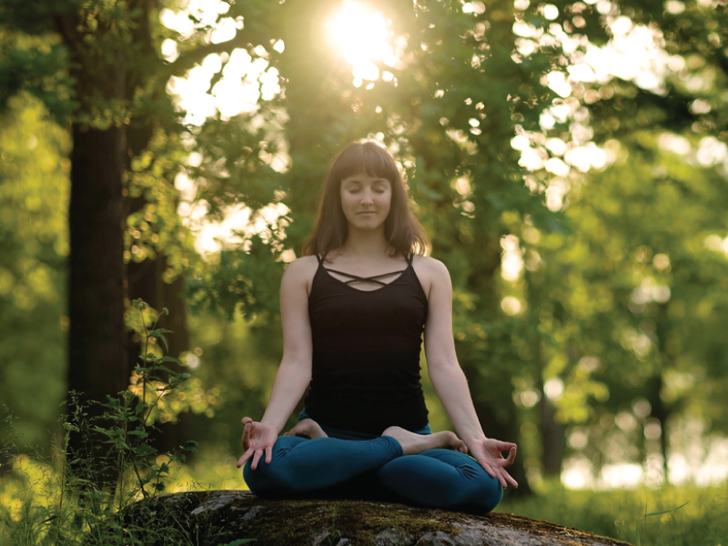 الانغماس في نمط حياةالايروفيدا